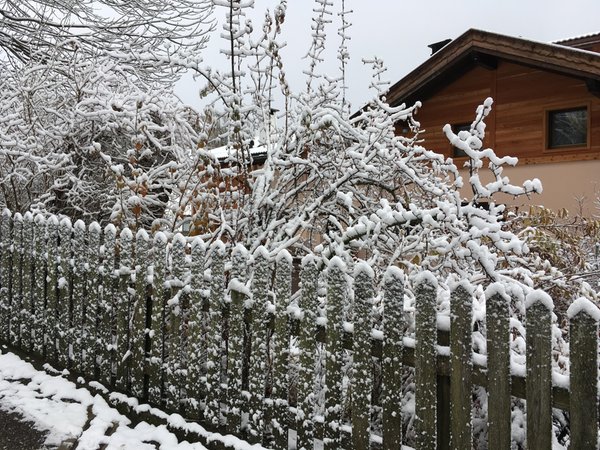 Foto Außenansicht im Winter Profumi nel Bosco