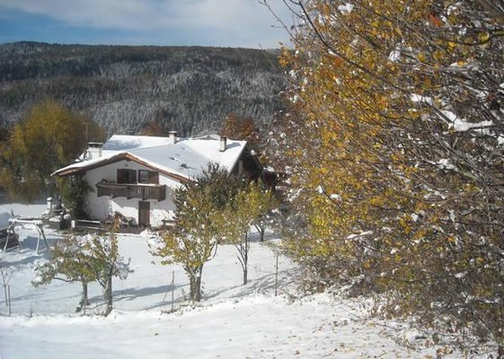 Foto esterno Bed & Breakfast Profumi nel Bosco