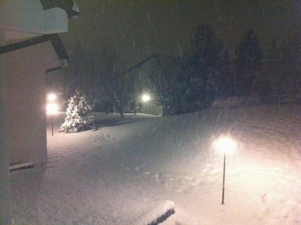 Foto del giardino Carano (Val di Fiemme)