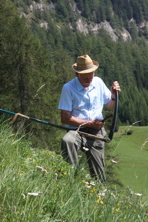 Bildergalerie Alta Badia / Hochabtei Sommer