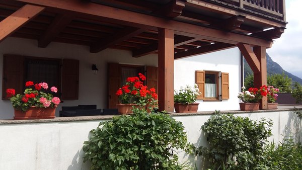 Photo exteriors in summer Villa Rita