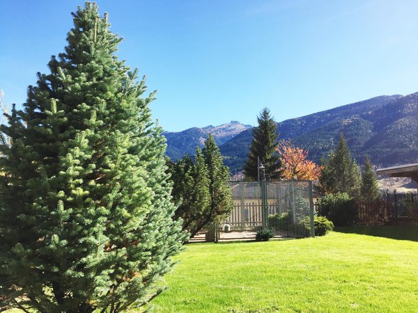 Photo of the garden Tesero