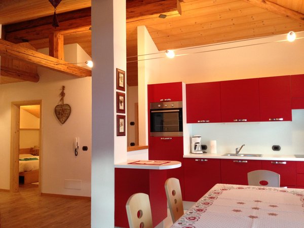 Photo of the kitchen Trettel Paolo