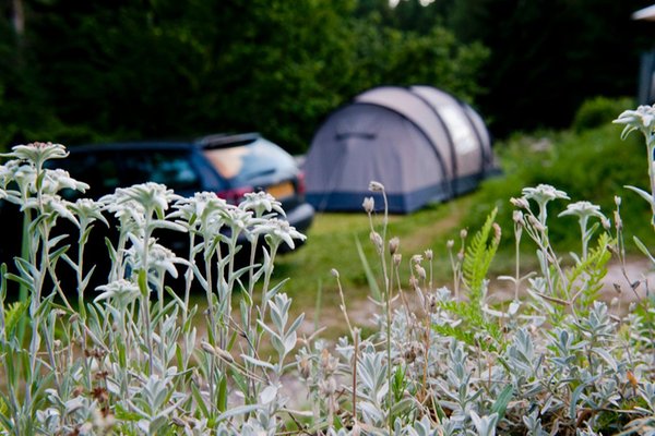Foto Außenansicht im Sommer Fiemme Village Camping&Resort