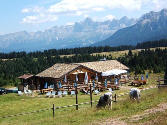 Foto esterno Malga Varena