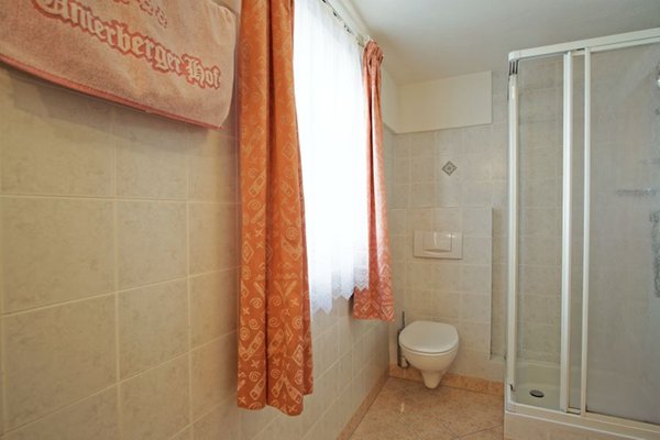 Foto del bagno B&B + Appartamenti in agriturismo Unterbergerhof