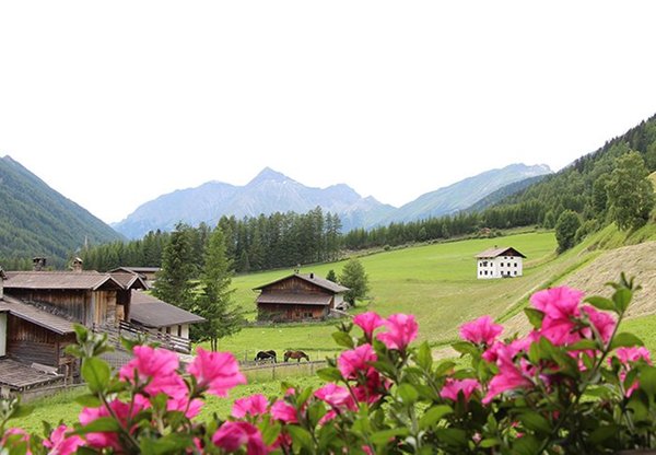 La posizione Camere + Appartamenti in agriturismo Boarhof Val di Vizze (Vipiteno e dintorni)