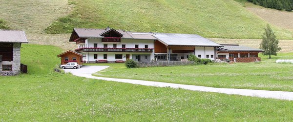 La posizione Camere + Appartamenti in agriturismo Boarhof Val di Vizze (Vipiteno e dintorni)