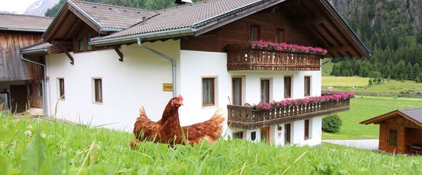 Foto esterno in estate Boarhof