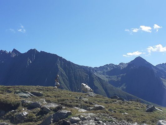 Panoramic view Val di Vizze / Pfitschtal (Vipiteno / Sterzing and surroundings)