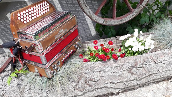Foto del giardino Campo di Trens (Vipiteno e dintorni)
