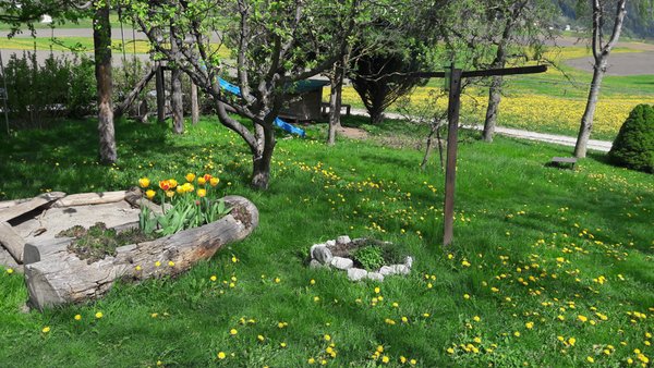 Foto del giardino Campo di Trens (Vipiteno e dintorni)