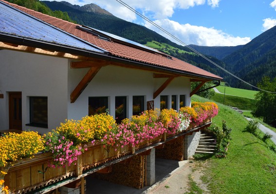 Foto esterno Appartamenti in agriturismo Martlerhof