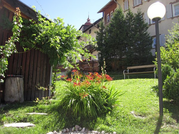 Photo of the garden Colle Isarco / Gossensass