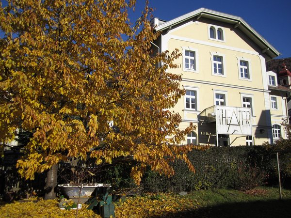 Photo exteriors in summer Apartments Zum Theater
