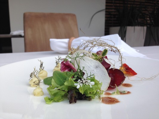 Recipes and gourmet-dishes Nature Hotel Rainer
