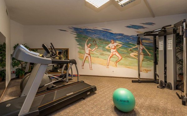 Foto della zona fitness Wanderhotel Jaufentalerhof