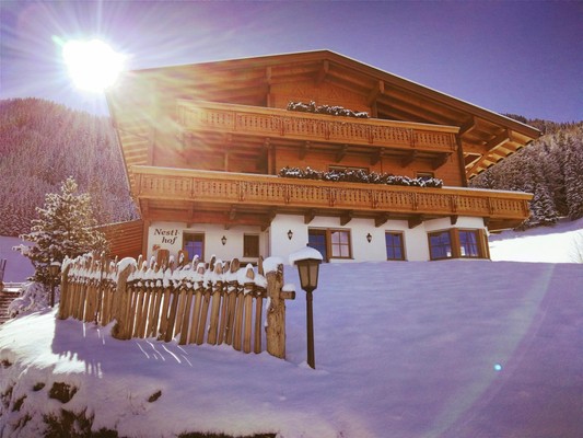 Foto esterno Appartamenti in agriturismo Nestlhof