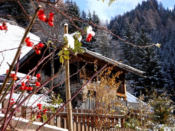 Photo of the garden Val Giovo / Jaufental