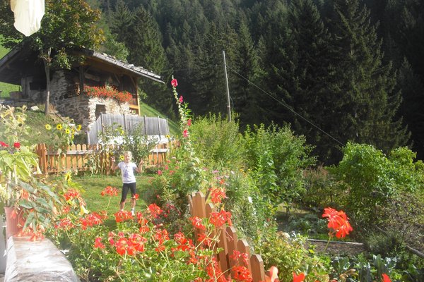 Photo of the garden Val Giovo / Jaufental