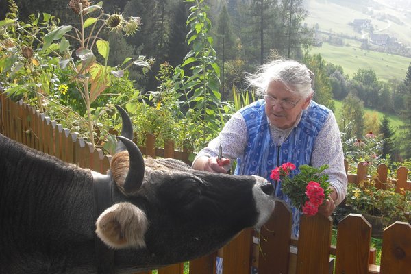Foto degli animali
