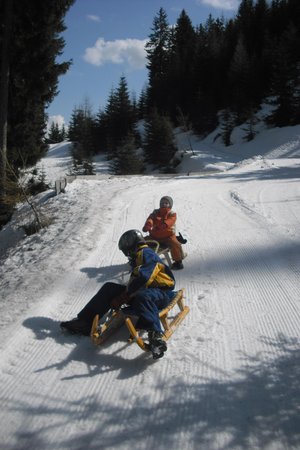 Winter activities Valle Isarco / Eisacktal