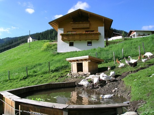 Foto esterno Appartamenti in agriturismo Joglerhof