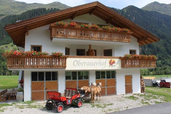 Foto esterno Appartamenti in agriturismo Oberauerhof