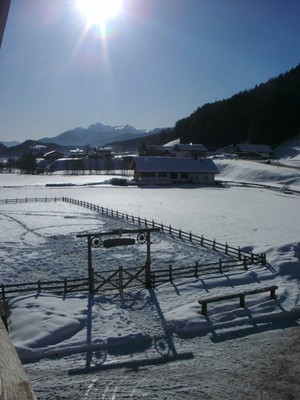 Bildergalerie