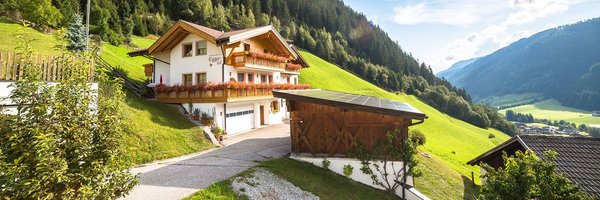 Foto estiva di presentazione Appartamenti in agriturismo Eggerhof