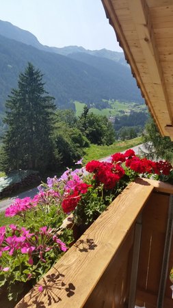 Foto vom Balkon Ferienwohnung auf dem Bauernhof Lexhof