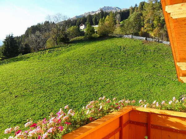 Immagine Appartamenti in agriturismo Maurerhof Telves