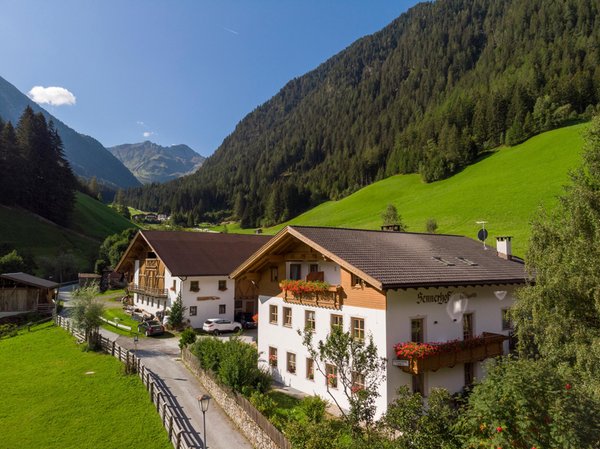 Foto esterno in estate Sennerhof