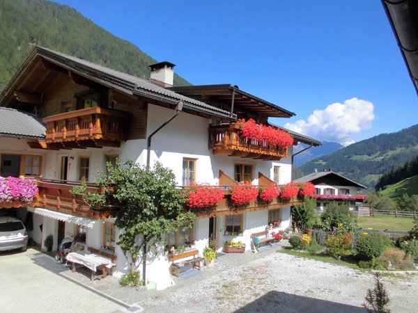 Foto esterno in estate Sennerhof