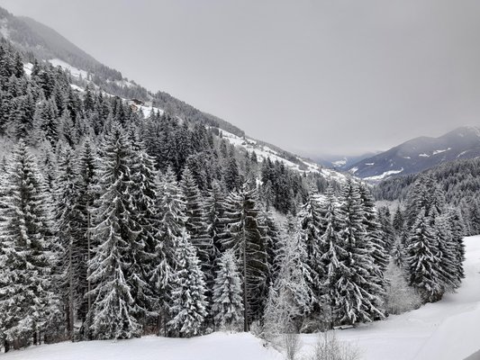Photo gallery winter