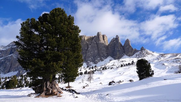 Photo gallery winter