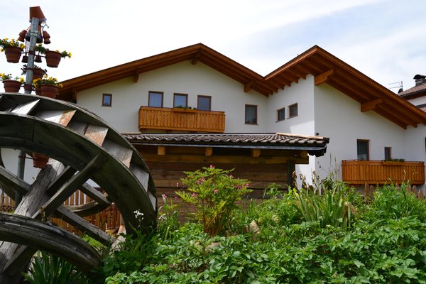 Foto esterno in estate Häuslerhof