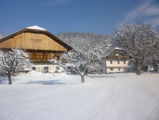 Foto Außenansicht B&B auf dem Bauernhof Untermoarhof