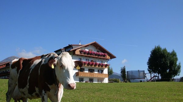 Foto esterno in estate Rosenheim