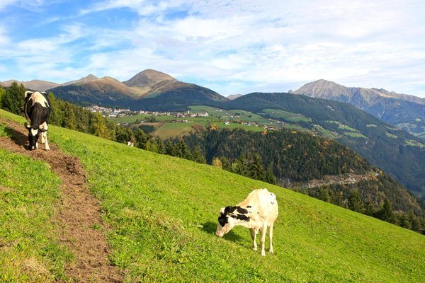 Aussicht Spinges (Gitschberg Jochtal)