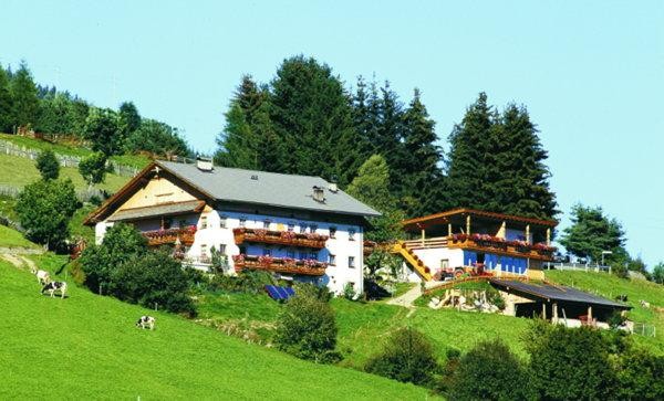 Foto esterno Appartamenti in agriturismo Pitznerhof