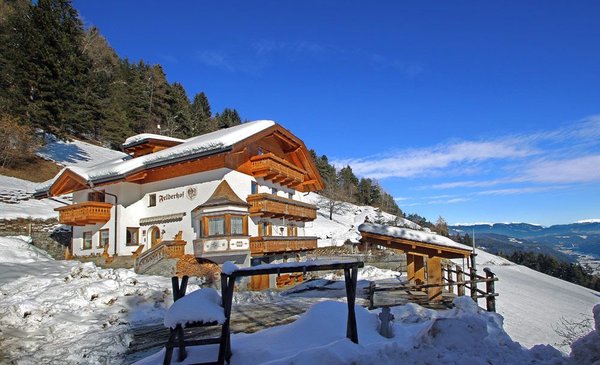 Foto invernale di presentazione Appartamenti in agriturismo Felderhof