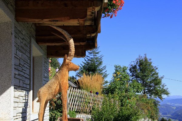 Foto di alcuni dettagli Felderhof