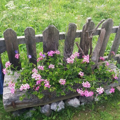 Foto vom Garten Meransen (Gitschberg Jochtal)