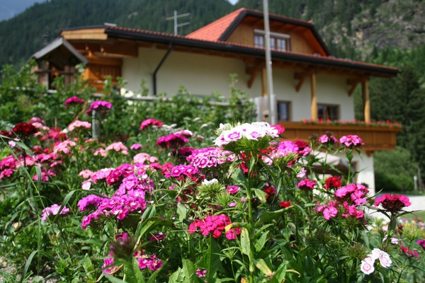 Photo of the garden Valles / Vals (Gitschberg Jochtal)