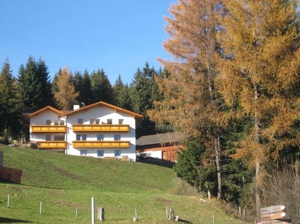 Foto estiva di presentazione Appartamenti in agriturismo Obermüllerhof