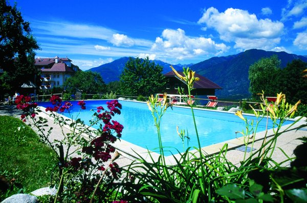 La piscina Hotel Al Leone - Zum Löwen