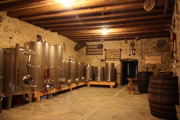Wine cellar Rasa / Raas (Naz - Sciaves / Natz - Schabs) Kaltenhauser