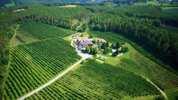 La posizione Hotel Flötscherhof Naz