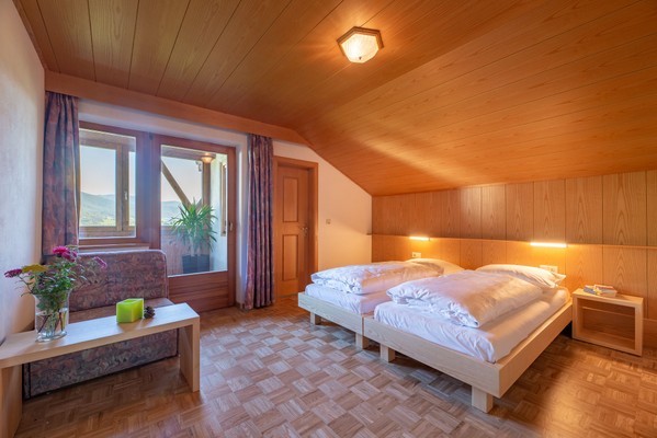 Foto della camera Pensione + Residence Baumgartnerhof